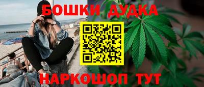 Альфа ПВП Дубна