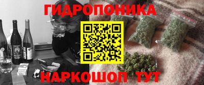 Альфа ПВП Дубна