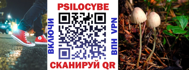 Псилоцибиновые грибы GOLDEN TEACHER  KRAKEN как зайти  Находка 