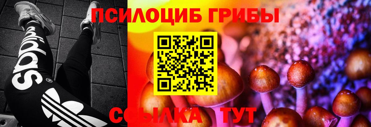 Псилоцибиновые грибы мухоморы Находка