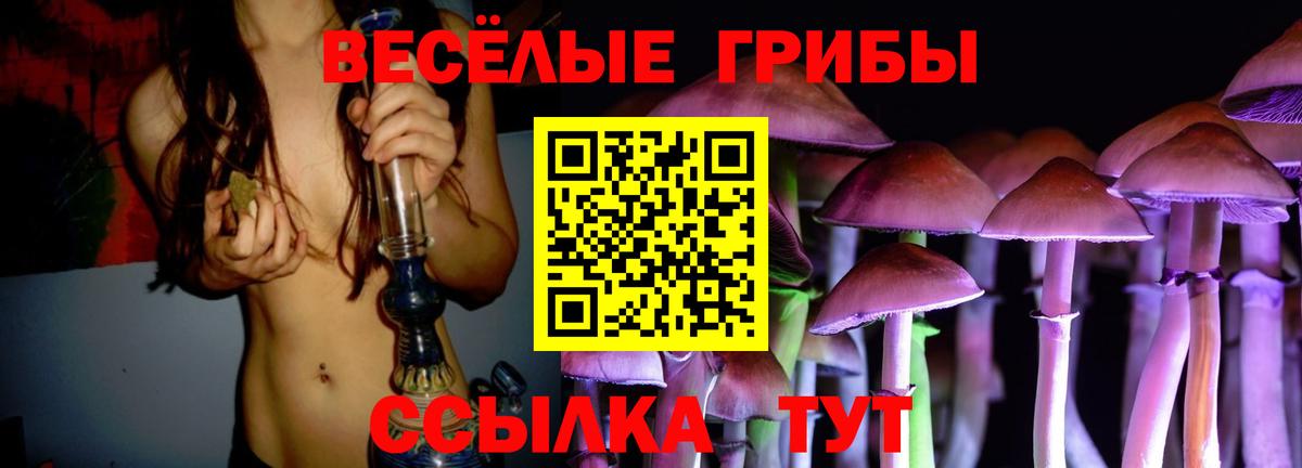 Псилоцибиновые грибы мухоморы  Вход с VPN  Находка 